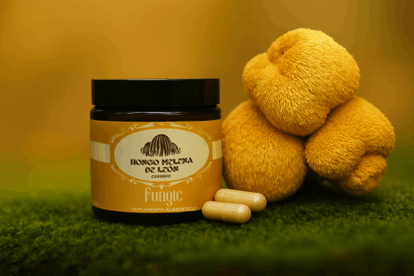 Hongo Melena de León